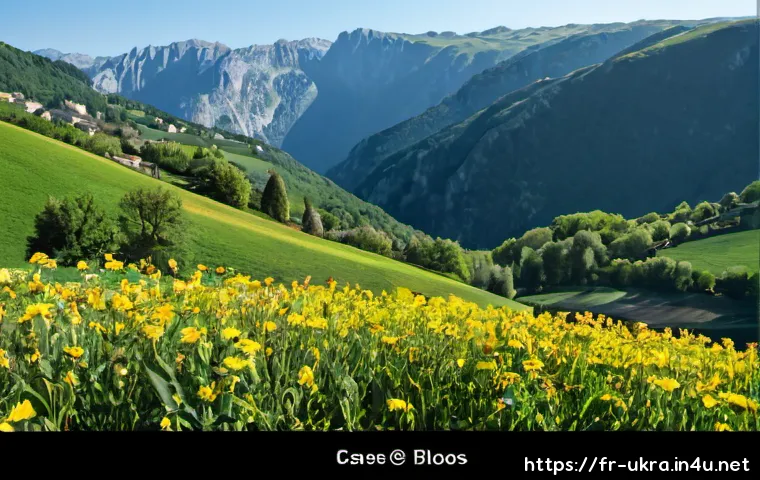 Agriculture durable en Ukraine : règles, certification et critères pour évaluer un projet ou un fournisseur 4 우크라이나 친환경 농업 정책 관련 이미지 2